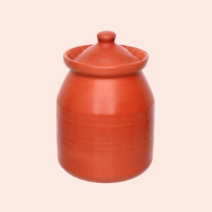 Clay Water Matka