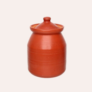 Clay Water Matka